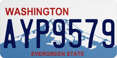 WA license plate AYP9579
