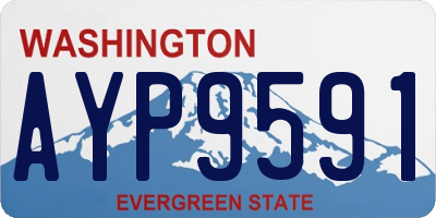 WA license plate AYP9591