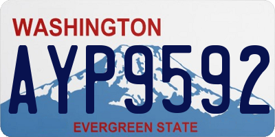 WA license plate AYP9592