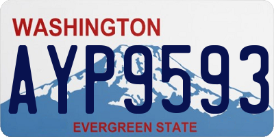 WA license plate AYP9593