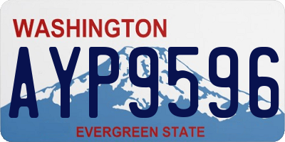 WA license plate AYP9596
