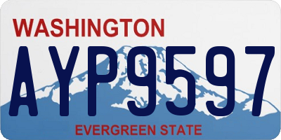 WA license plate AYP9597