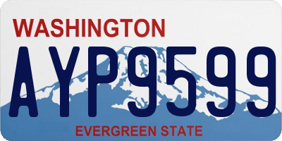WA license plate AYP9599