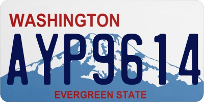WA license plate AYP9614