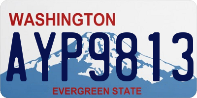 WA license plate AYP9813