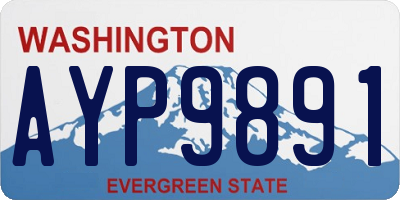 WA license plate AYP9891