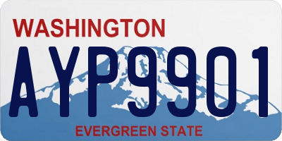 WA license plate AYP9901