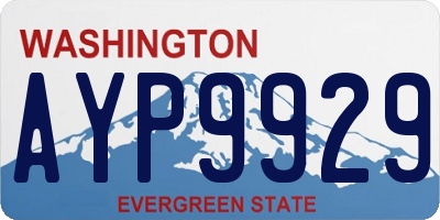 WA license plate AYP9929