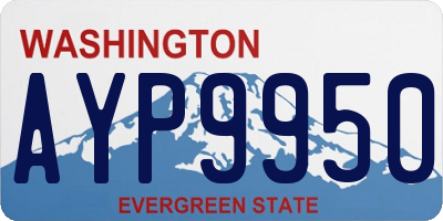 WA license plate AYP9950
