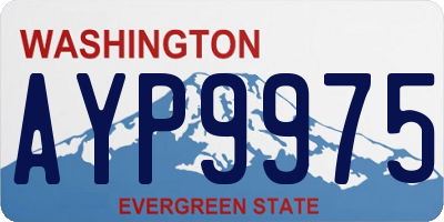 WA license plate AYP9975