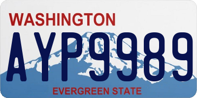 WA license plate AYP9989
