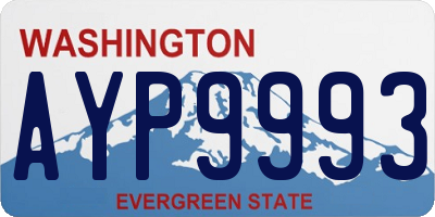 WA license plate AYP9993