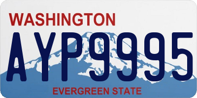 WA license plate AYP9995