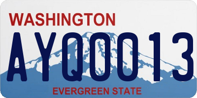 WA license plate AYQ0013