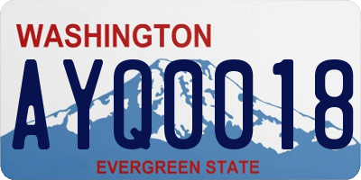 WA license plate AYQ0018