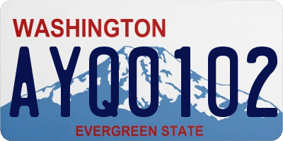 WA license plate AYQ0102