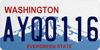 WA license plate AYQ0116