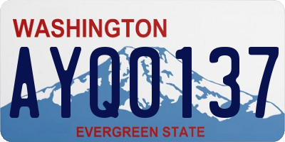 WA license plate AYQ0137
