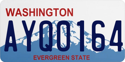 WA license plate AYQ0164