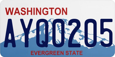 WA license plate AYQ0205