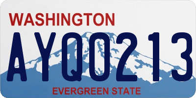 WA license plate AYQ0213