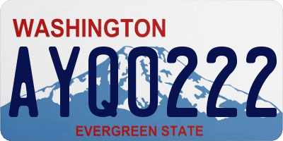 WA license plate AYQ0222