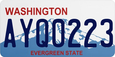 WA license plate AYQ0223