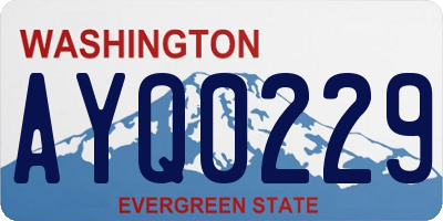 WA license plate AYQ0229