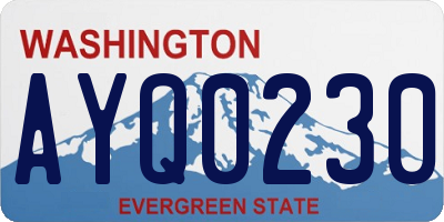 WA license plate AYQ0230