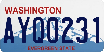 WA license plate AYQ0231