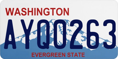 WA license plate AYQ0263