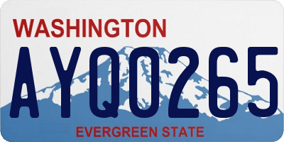 WA license plate AYQ0265