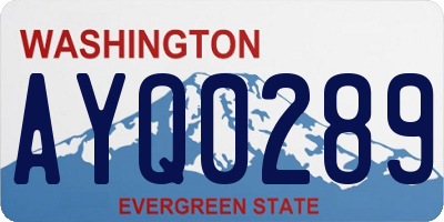 WA license plate AYQ0289