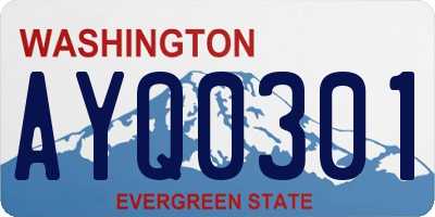 WA license plate AYQ0301