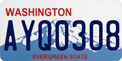 WA license plate AYQ0308