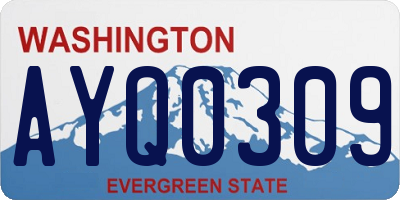 WA license plate AYQ0309