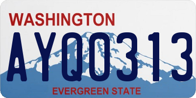 WA license plate AYQ0313