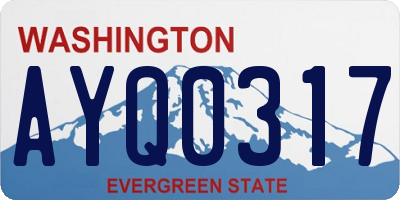 WA license plate AYQ0317
