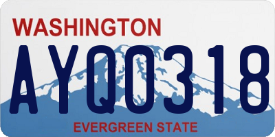 WA license plate AYQ0318