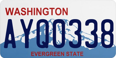 WA license plate AYQ0338