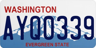 WA license plate AYQ0339