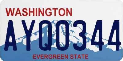 WA license plate AYQ0344