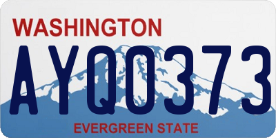 WA license plate AYQ0373