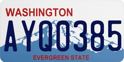 WA license plate AYQ0385