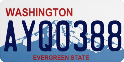 WA license plate AYQ0388