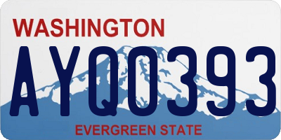 WA license plate AYQ0393