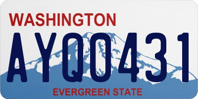 WA license plate AYQ0431