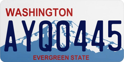 WA license plate AYQ0445