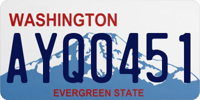 WA license plate AYQ0451