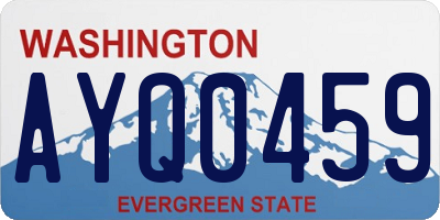 WA license plate AYQ0459